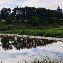 이순신장군 백의종군로 이미지