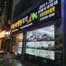 부산뱅갈하우스 | 부산 사직동 강아지 고양이 애견용품 미용 추천 "야옹아멍멍해봐" (feat. 부산유기견)