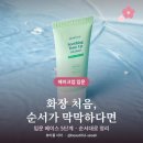 메이크업 입문 추천 베이스 순서 5단계 ｜ 화장 처음·톤업선크림·쿠션·파우더