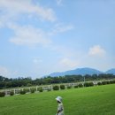 공원매점 이미지