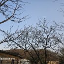 이디야 양주장흥점