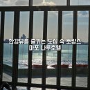 마포대로 20(마포역 4번 출구) | 마포 호텔나루 엠갤러리 디럭스 리버뷰 내돈내산서울 호캉스 호텔수영장 후기