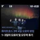 하늘오두막 | [블루버드 오로라 뷰잉투어] 화이트호스 3박 4일 오로라 뷰잉: 1~3일차 오로라 및 오두막 후기