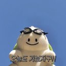 보사노바베이커리랩