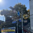 고지대 그린 테마공원 이미지