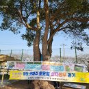 고성리-15 이미지
