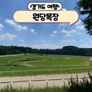 덕양목장2 | 서울 근교 여행 고양시 한국마사회 원당목장 주말 나들이