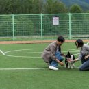 하이원펫클럽 이미지