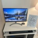 인공 + 자연 | 서울아이나 여성의원 | 자연주기 인공수정 2차 후기 | 예상보다 빨라진 배란, 아쉬웠던 주기