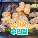 부민 | 부민동 맛집 인정! '소일창 부민점' 후기