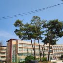 서울연촌초등학교 이미지