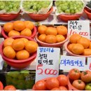 과일이좋은세상