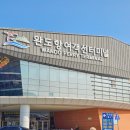 강아지랑 배 타고 완도에서 제주도 가기 차량선적 한일고속 골드스텔라 스페셜 펫룸 후기 애견동반 페리...