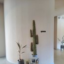 구만가든 이미지