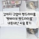 루비펫 | 강아지·고양이 펫드라이룸 ‘펫바이브 펫드라이룸’ 사용 후기