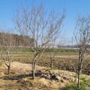 화포농장 이미지