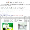 신나는 과학교실 1 Daum카페