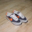 (주)골든하이 이미지