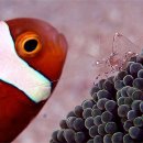 바다생각 이미지