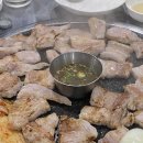 섹시한돼지 이미지