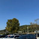 원도안로-24 | [대전 세종 야외웨딩] 카페 노호 x 시화래 야외웨딩 쇼케이스 예신 관점 하객 후기