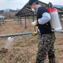 일지 태양광발전소 이미지