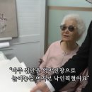 수묵채색화 | “미치지 않으면 오래 못 해” 딸과 함께 인사동 미술관에 온 군자 씨, 그림에 바친 인생 인간극장 KBS