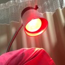 대곡시원제통의원 이미지