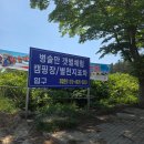 댕댕이네 | [태안] 태안 강아지와 함께하는 갯벌체험 "댕댕이 갯벌체험" |내돈내산 후기
