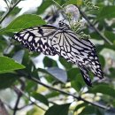 종만이농장 이미지