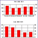 4월 24일 자, 일반신문과 조폭찌라시들의 만평비교! 이미지