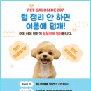 살롱드 207 | &#34;강아지 미용&#34; 믿고 맡기는 광주 서구 애견미용샵 [살롱드207]