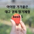 비슬로63길 | 아이랑 가기좋은 대구 경북 딸기체험 best 5