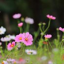 기차길옆 이미지