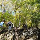 진달래산천 이미지