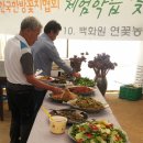 연꽃농원