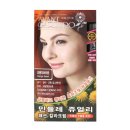 민들레패션 이미지