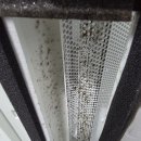 완도읍-4 이미지