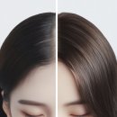 햇빛미용실 - 강서구 송정로4길 40 | 햇빛미용실