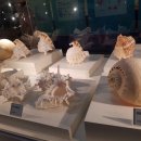 여수수산물특화시장 이미지