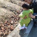 시골애미 네이버블로그