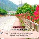 가곡강변로 이미지