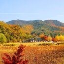 한국의 지베르니라 불리는 도시 단풍과 핑크뮬리를 만날 수 있는 국내 여행지 이미지