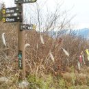 가학산휴양림 1 이미지