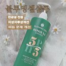 지성유치원 | 지성두피 비듬샴푸 블루밍셀샴푸 사용 후기