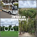 난지천1(난지주차장) | 서울 뚜벅이 여행 난지한강공원 하늘공원 억새축제 사진 주차장 주차 맹꽁이열차 시간 요금