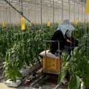 성하축산 이미지