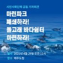 [시민사회단체 공동 기자회견] 제주도정과 해양수산부는 돌고래 바다쉼터 마련에 즉각 나서라 이미지