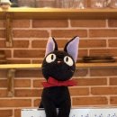 마지아 이미지