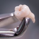 핏피티(Fit PT) 이미지